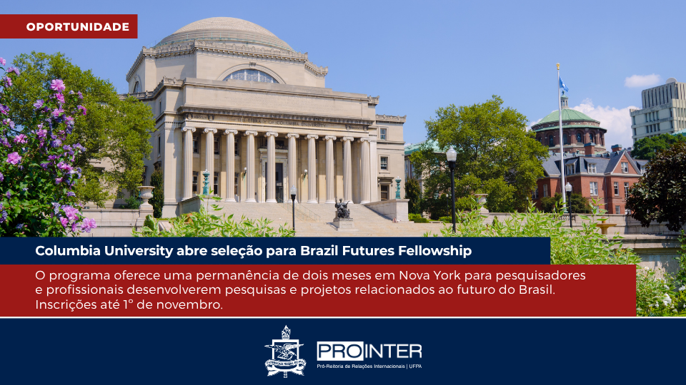 Foto da galeria de imagens: sem descrição informada.