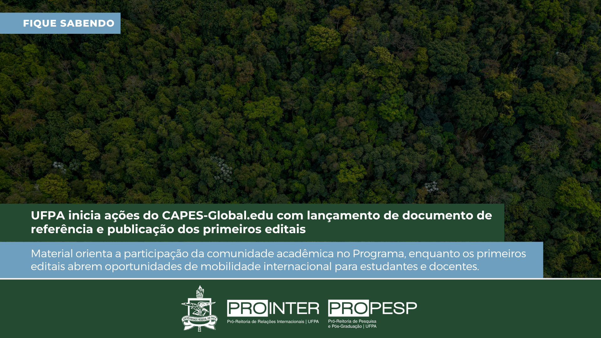 Foto da galeria de imagens: sem descrição informada.