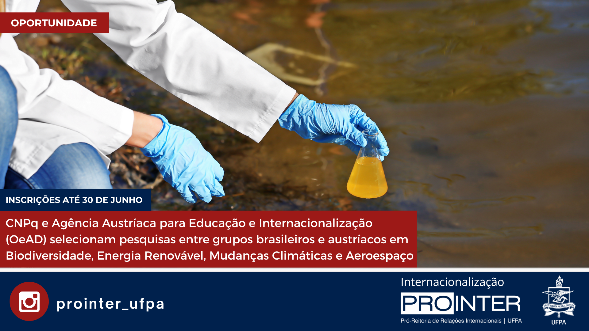 CNPq e Agência Austríaca para Educação e Internacionalização (OeAD) selecionam pesquisas entre grupos brasileiros e austríacos em Biodiversidade, Energia Renovável, Mudanças Climáticas e Aeroespaço