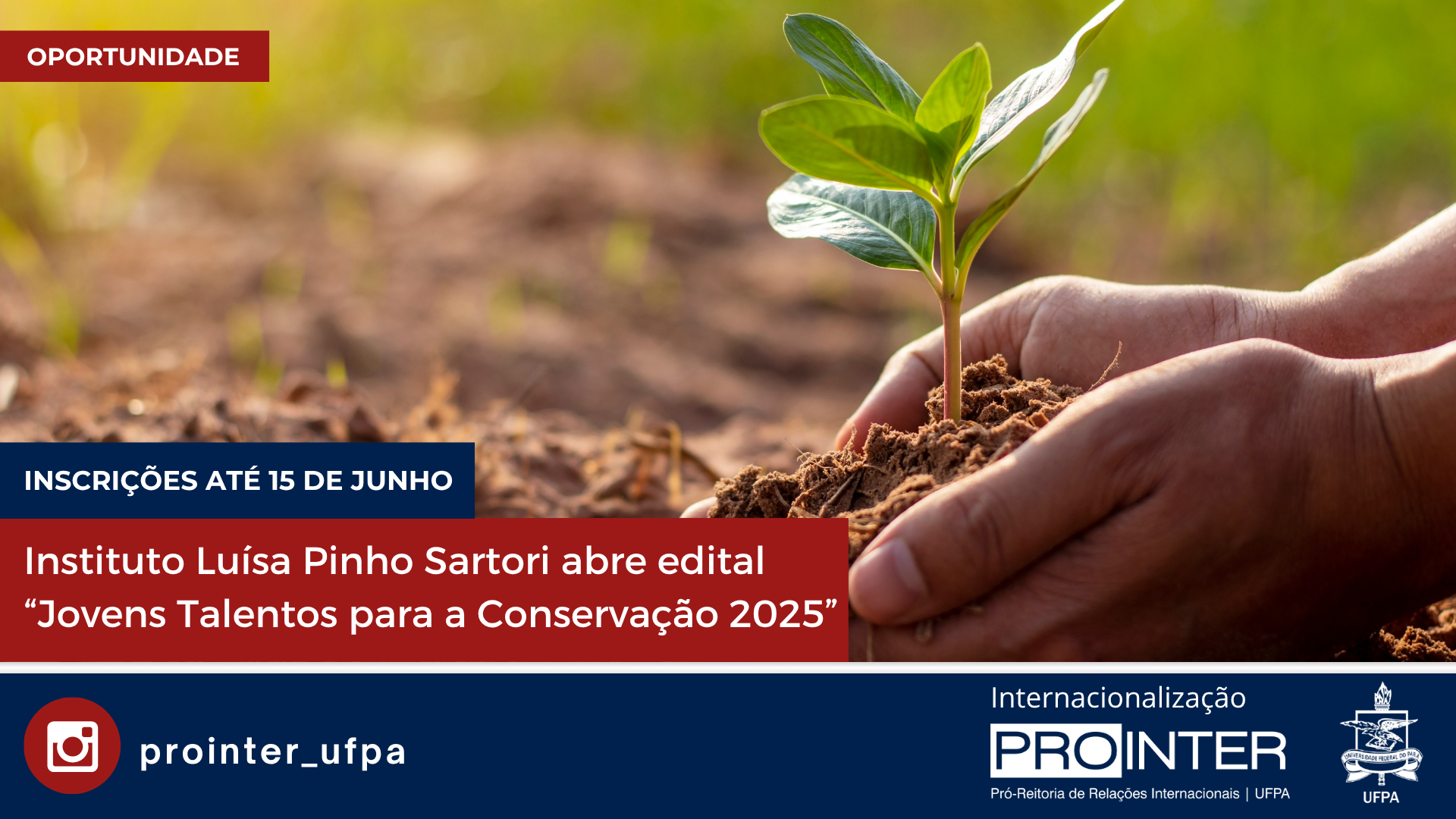 Instituto Luísa Pinho Sartori abre edital Jovens Talentos para a Conservação 2025 