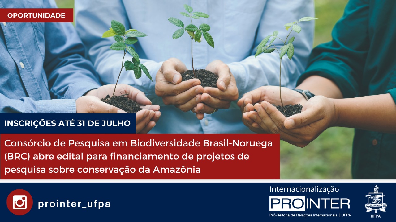 Consórcio de Pesquisa em Biodiversidade Brasil-Noruega (BRC) abre edital para financiamento de projetos de pesquisa sobre conservação da Amazônia