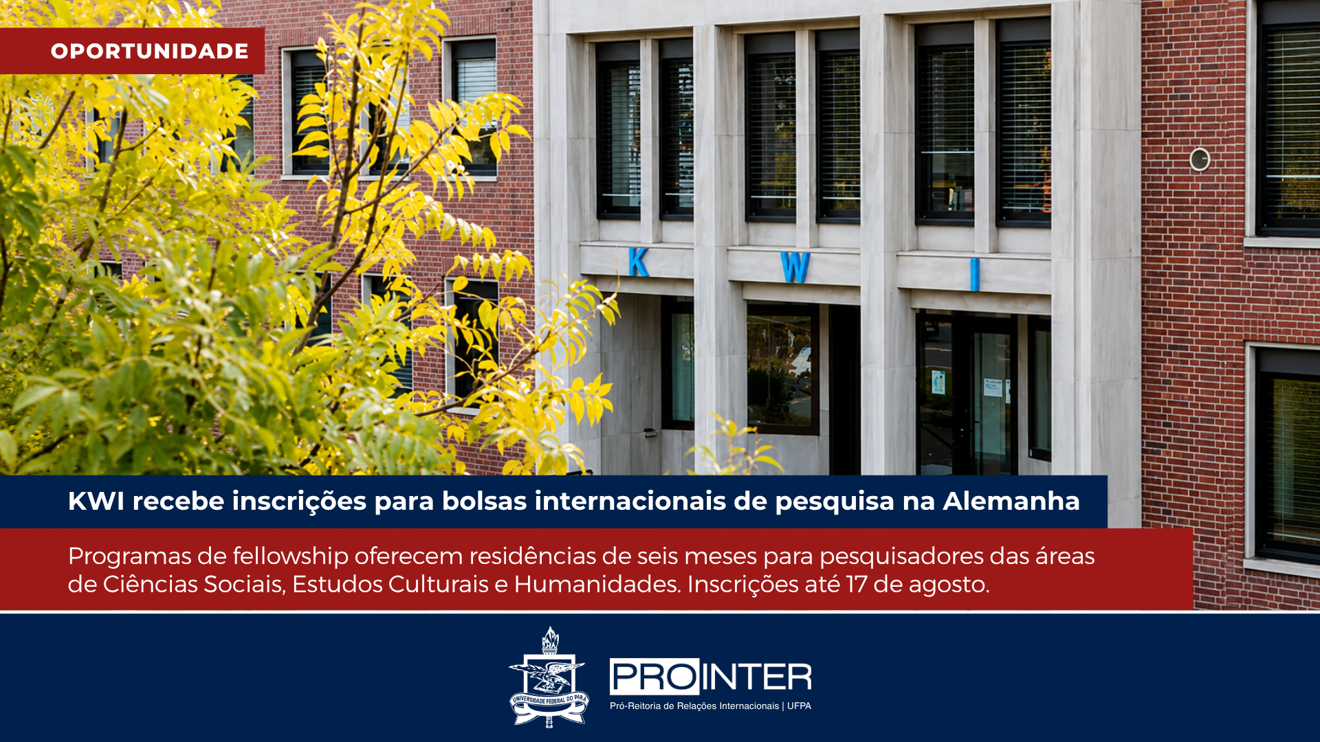 Foto da galeria de imagens: sem descrição informada.