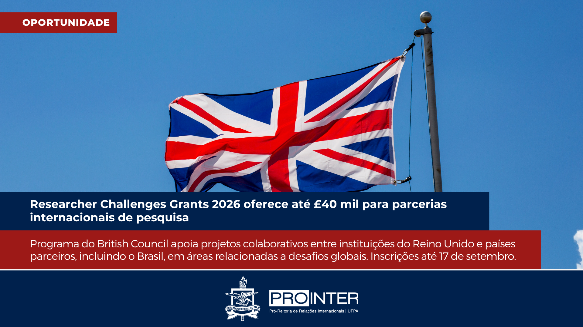 Foto da galeria de imagens: sem descrição informada.