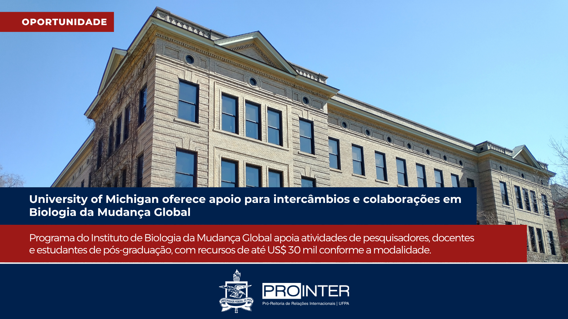 Foto da galeria de imagens: sem descrição informada.