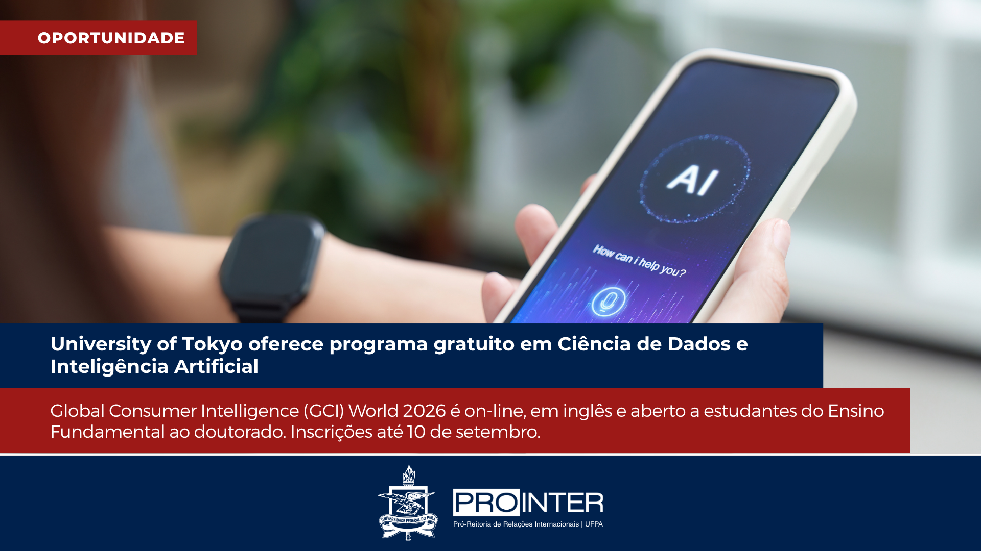 Foto da galeria de imagens: sem descrição informada.