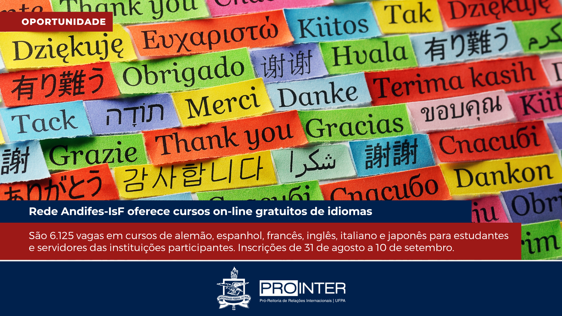 Foto da galeria de imagens: sem descrição informada.