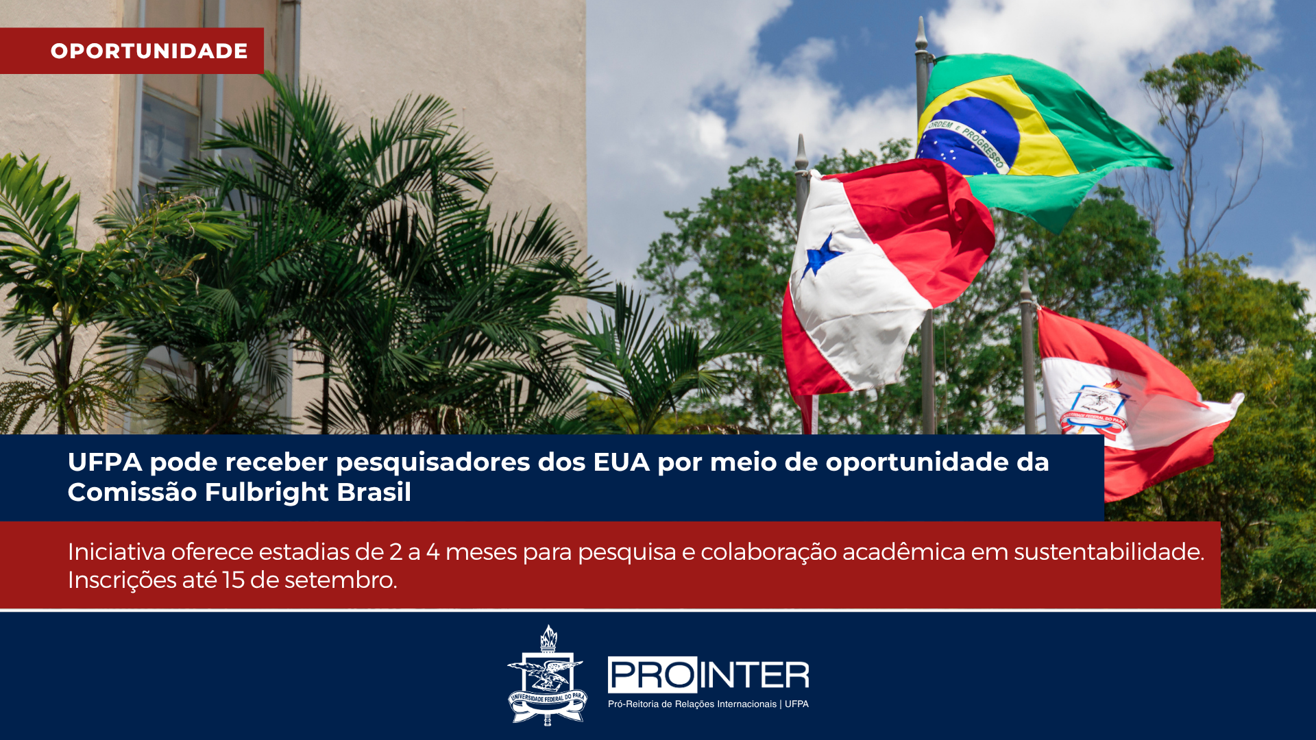 Foto da galeria de imagens: sem descrição informada.
