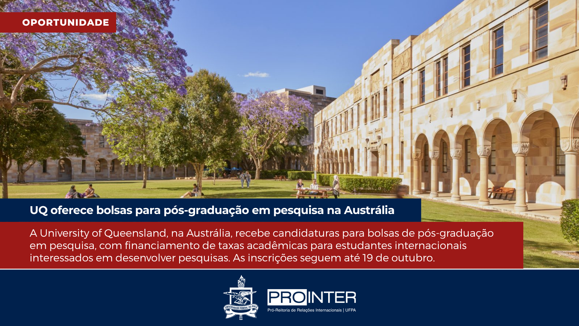 Foto da galeria de imagens: sem descrição informada.