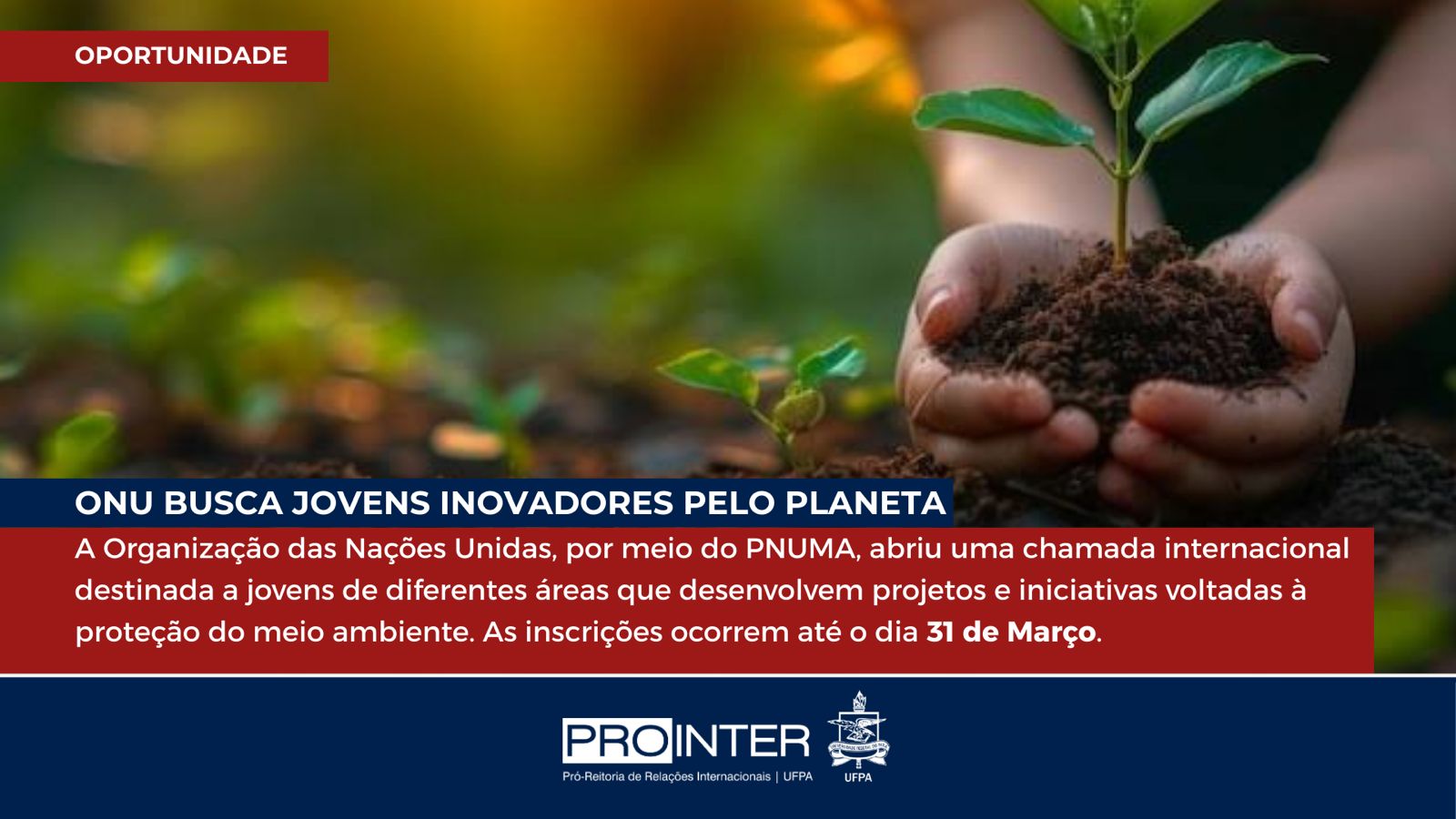 imagem sem descrição.