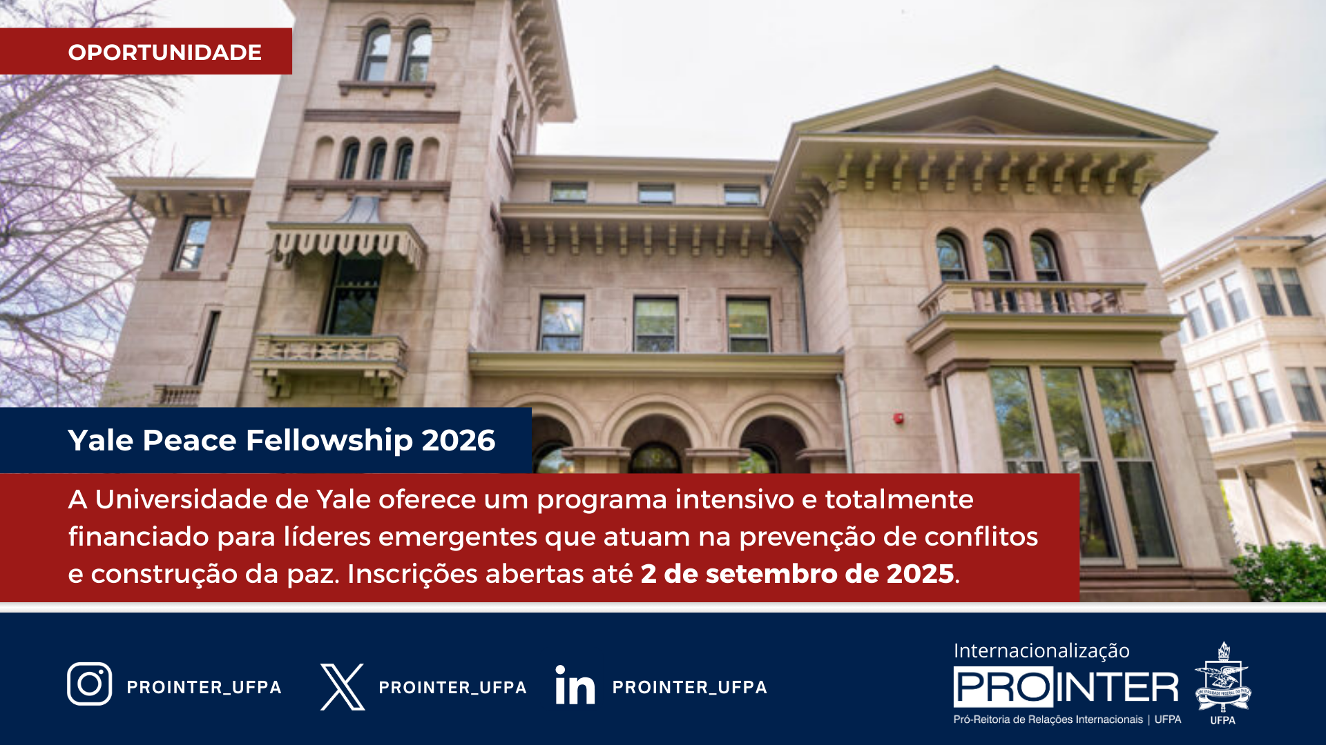 Yale Peace Fellowship 2026: Uma Oportunidade Internacional para Profissionais da Paz