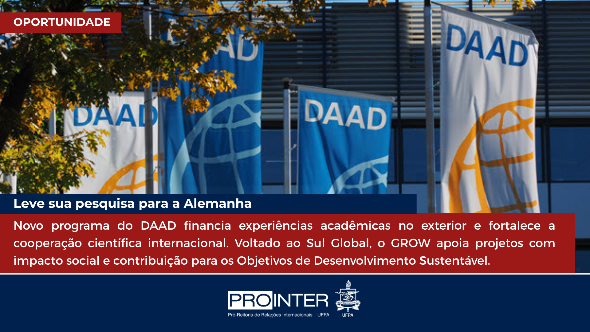 DAAD lança programa GROW para fomentar pesquisa e cooperação no Sul Global