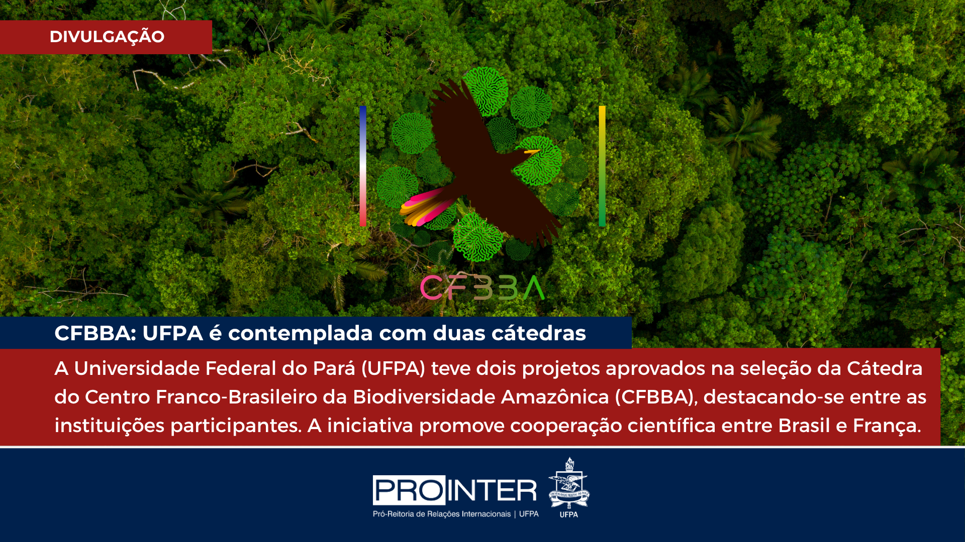 UFPA é contemplada com duas cátedras para cooperação científica franco-brasileira